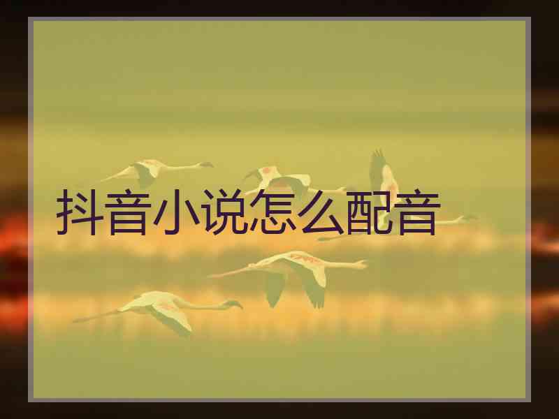 抖音小说怎么配音