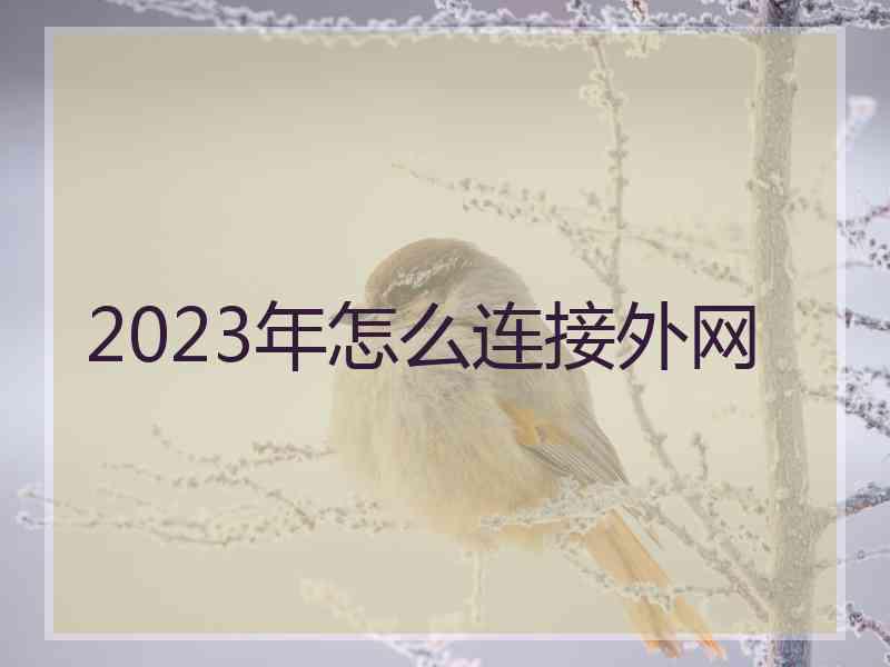 2023年怎么连接外网