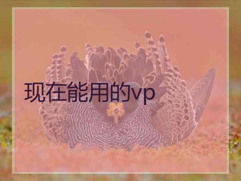现在能用的vp
