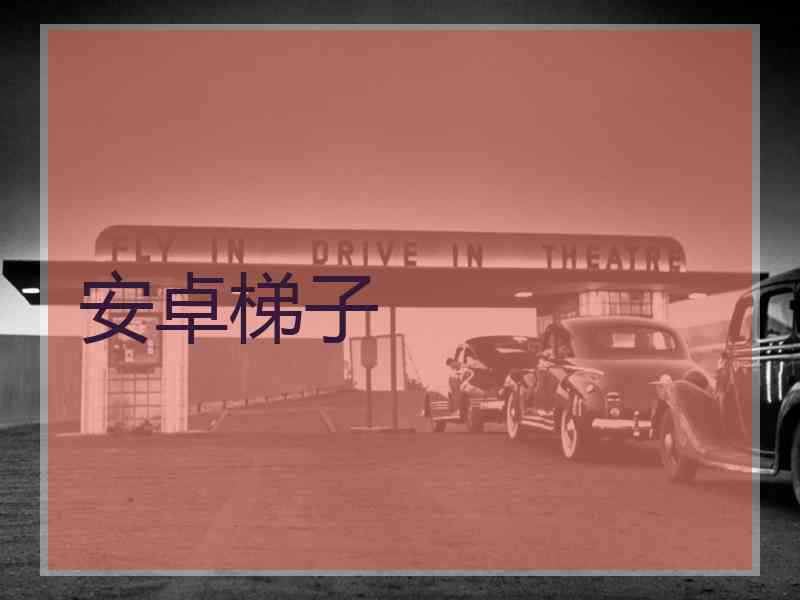安卓梯子