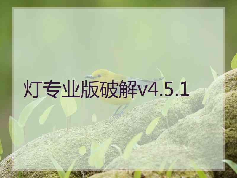 灯专业版破解v4.5.1