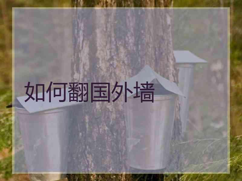如何翻国外墙