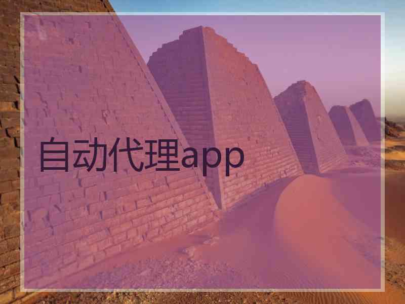 自动代理app