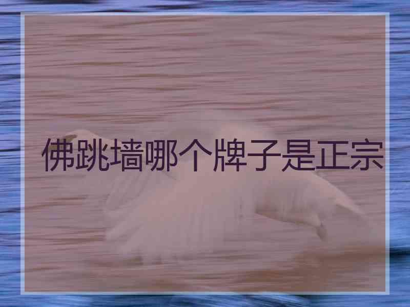 佛跳墙哪个牌子是正宗