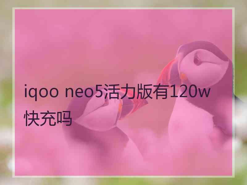 iqoo neo5活力版有120w快充吗