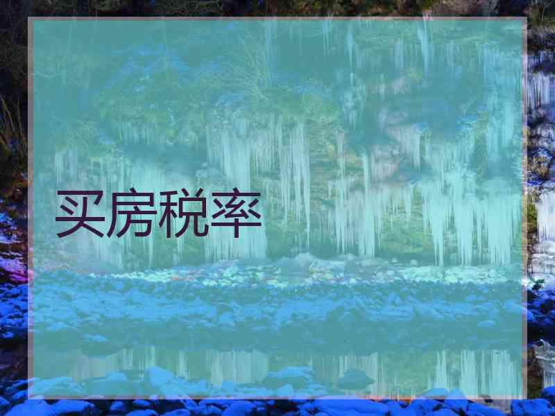 买房税率