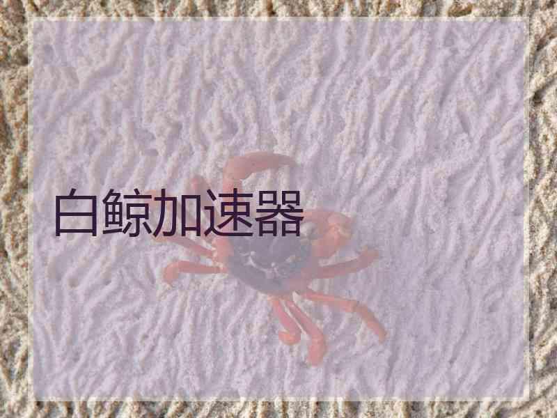 白鲸加速器