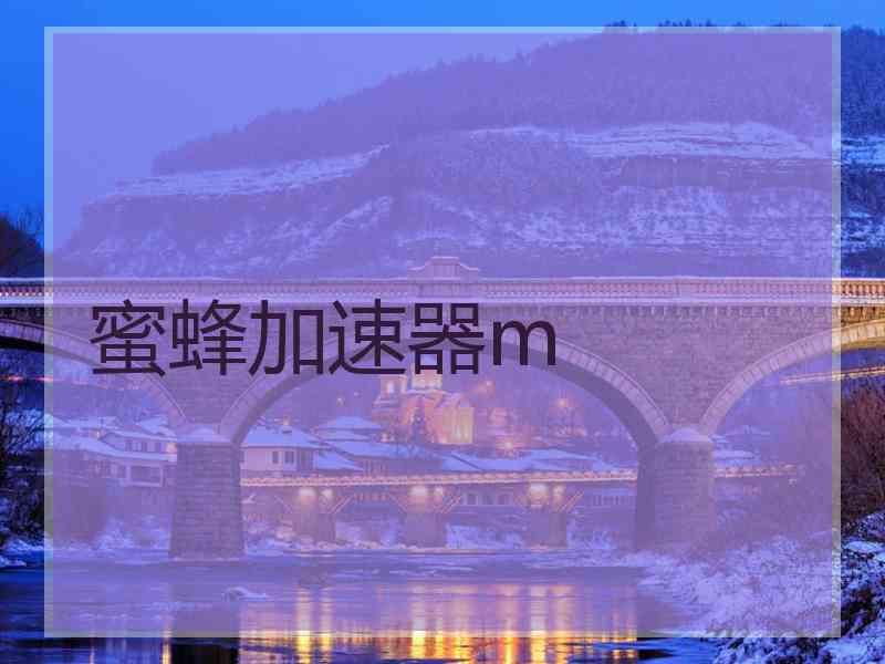 蜜蜂加速器m