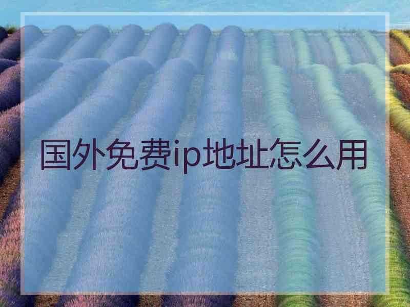 国外免费ip地址怎么用