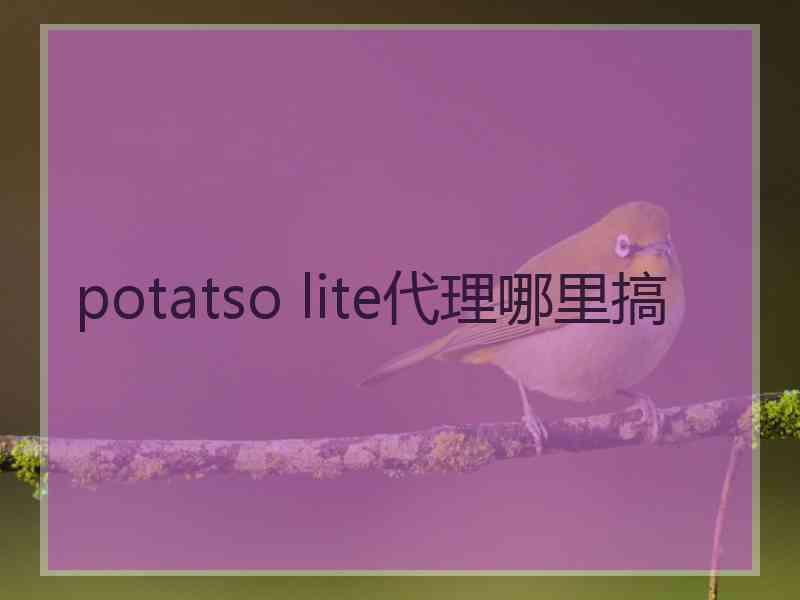 potatso lite代理哪里搞