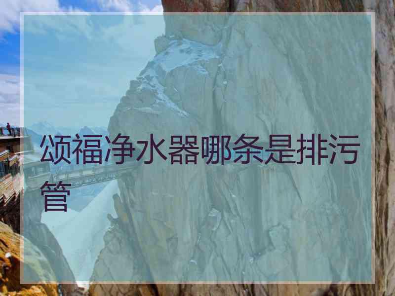颂福净水器哪条是排污管