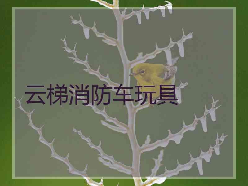 云梯消防车玩具