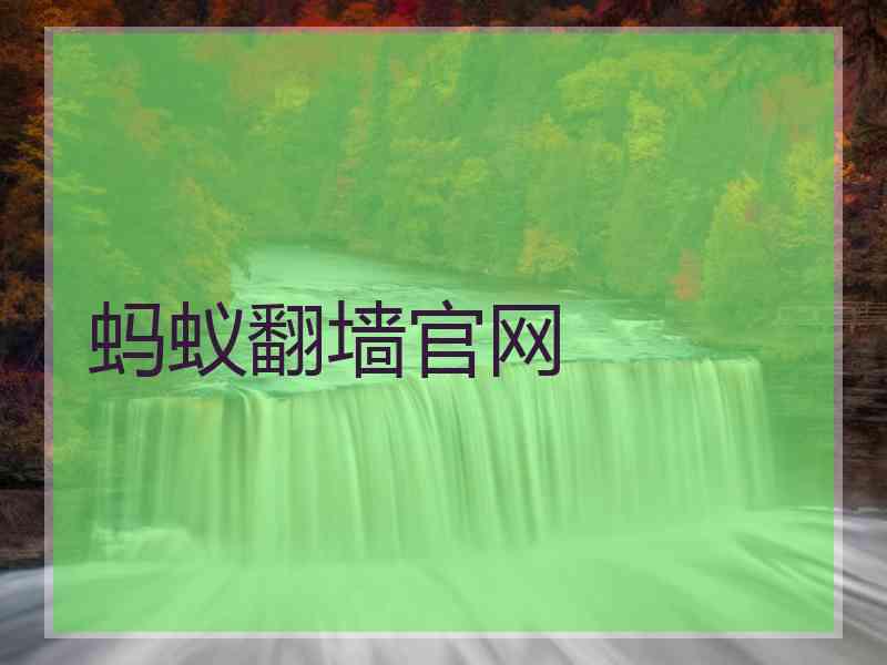 蚂蚁翻墙官网