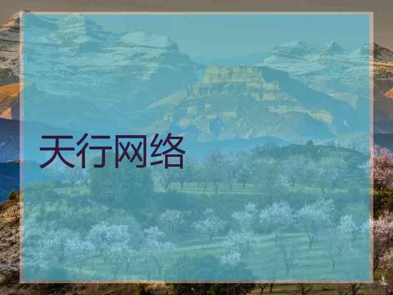天行网络