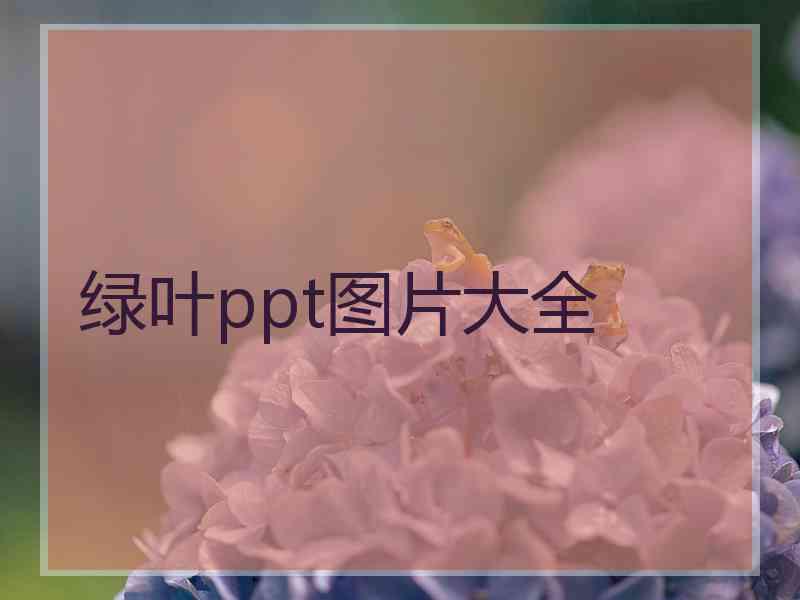 绿叶ppt图片大全