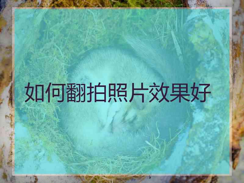 如何翻拍照片效果好