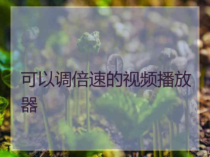 可以调倍速的视频播放器