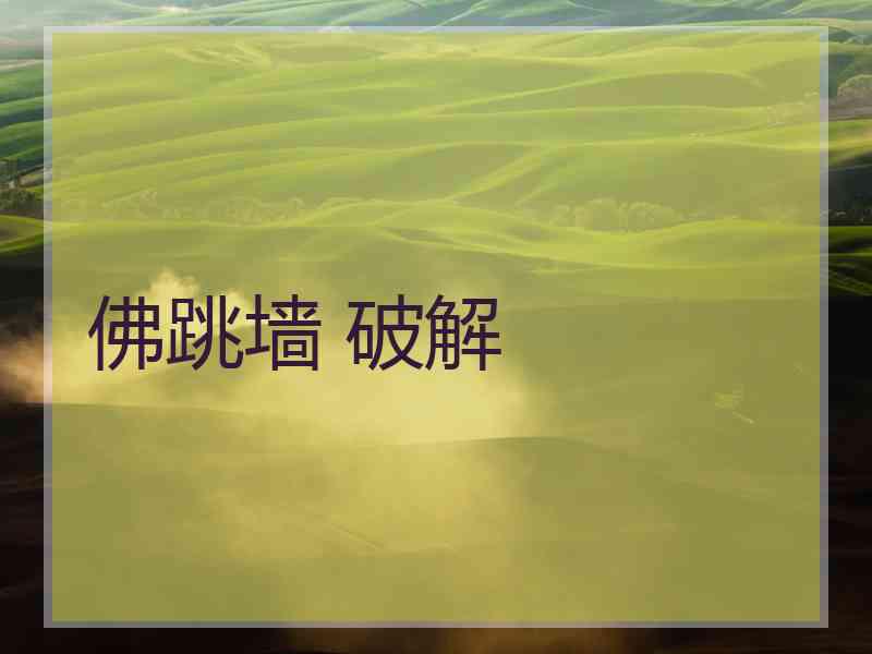 佛跳墙 破解