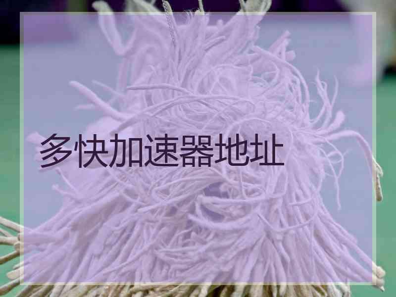 多快加速器地址