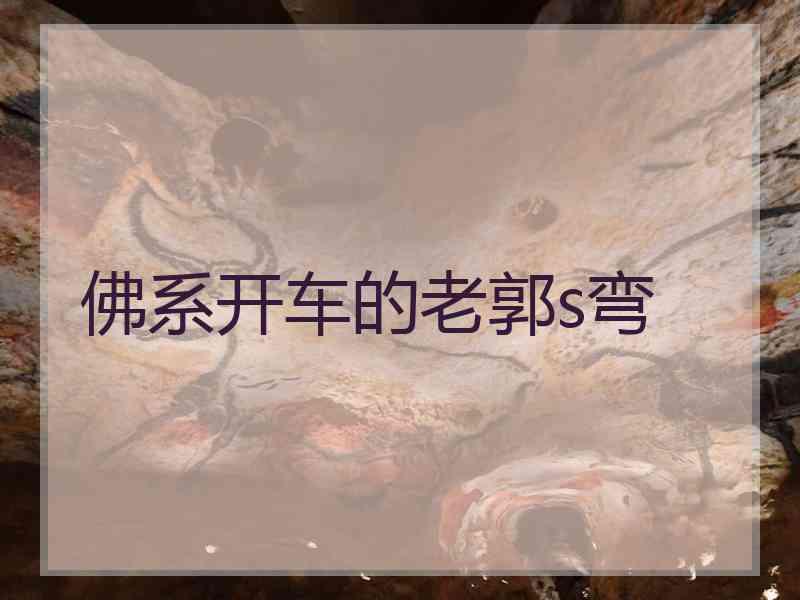 佛系开车的老郭s弯