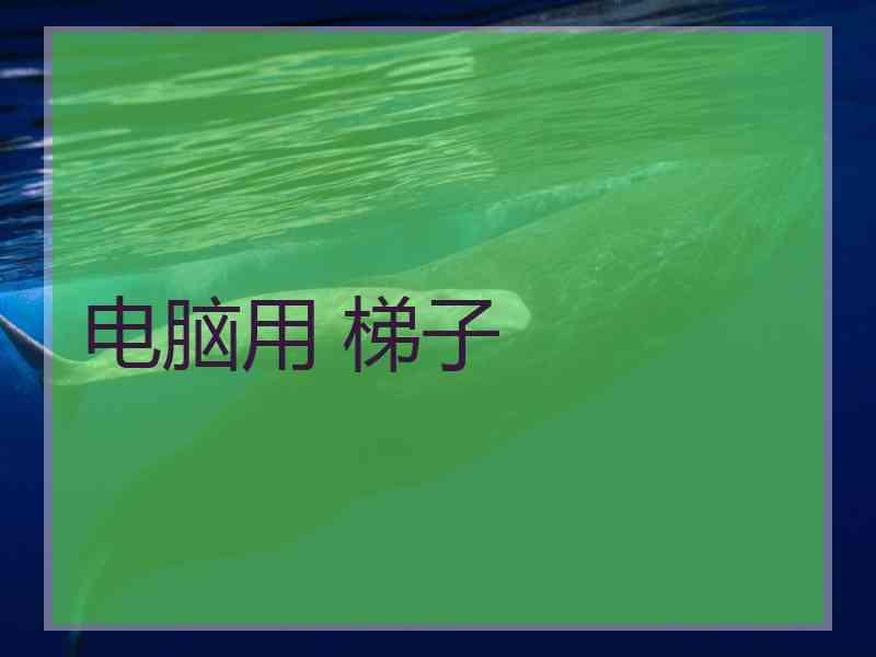 电脑用 梯子