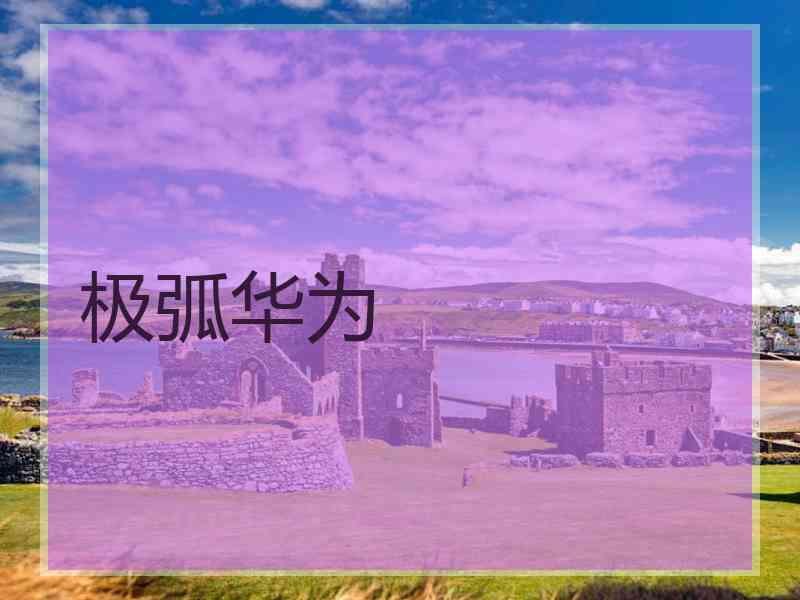 极弧华为
