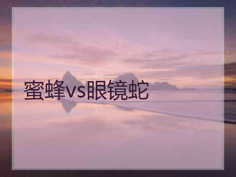 蜜蜂vs眼镜蛇