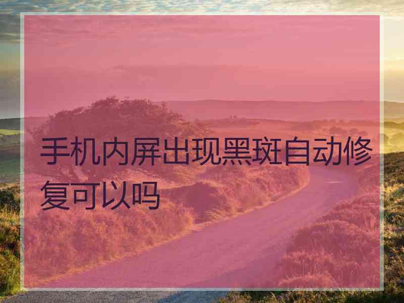 手机内屏出现黑斑自动修复可以吗
