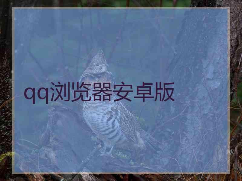qq浏览器安卓版