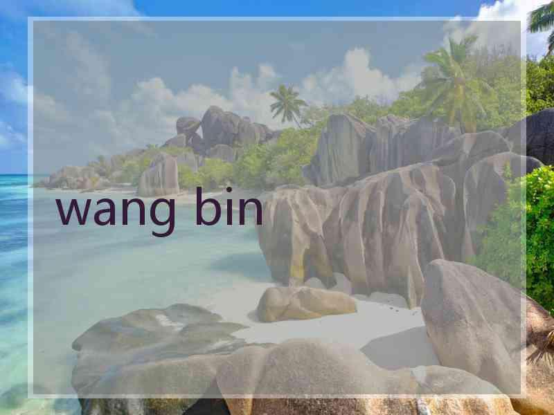 wang bin
