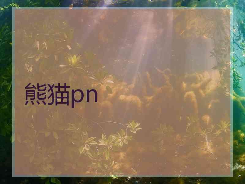 熊猫pn