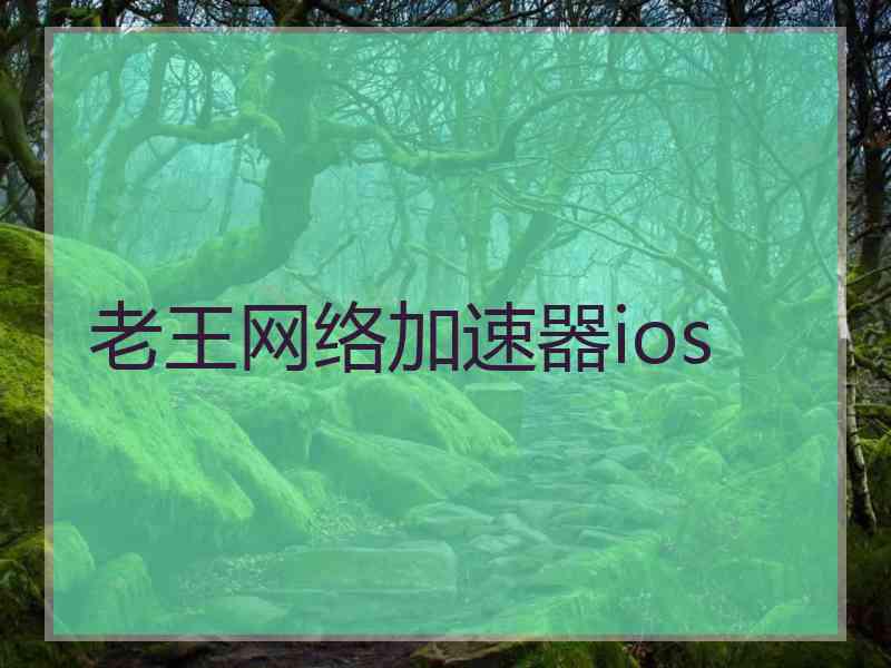 老王网络加速器ios