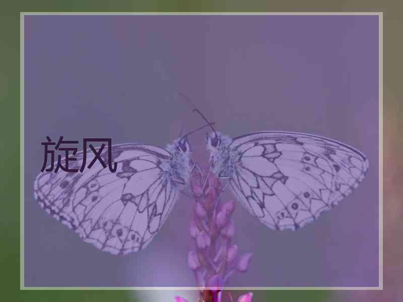 旋风