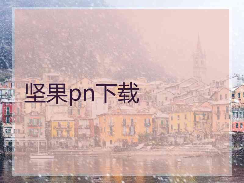 坚果pn下载