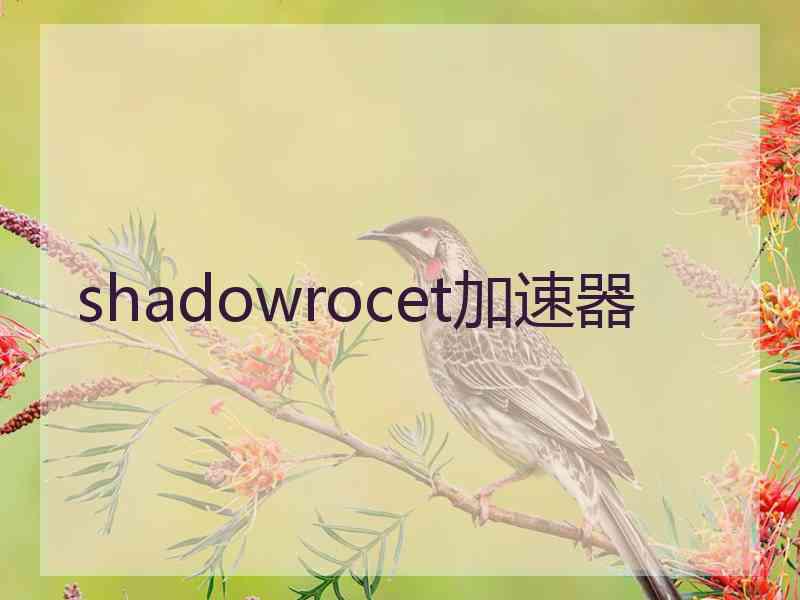 shadowrocet加速器