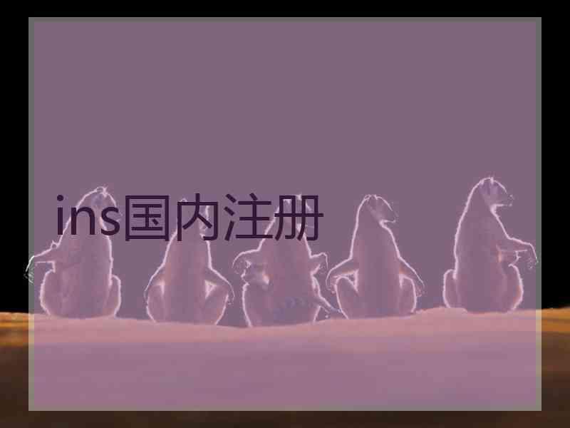 ins国内注册