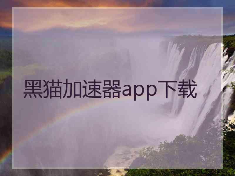 黑猫加速器app下载