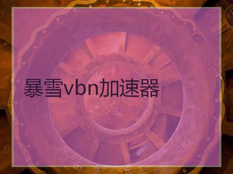 暴雪vbn加速器