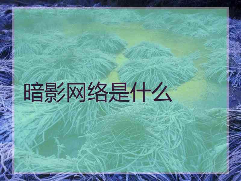 暗影网络是什么