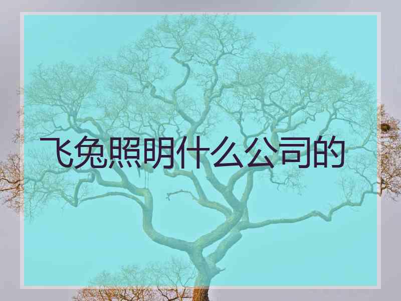 飞兔照明什么公司的