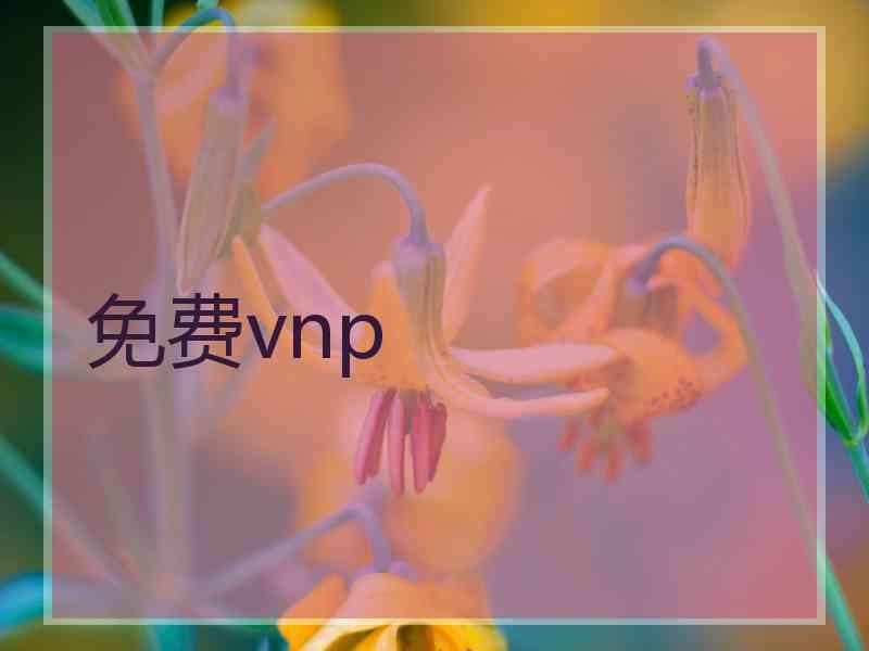 免费vnp