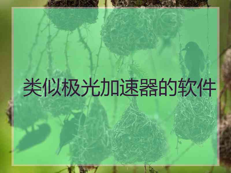 类似极光加速器的软件