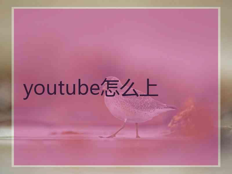 youtube怎么上