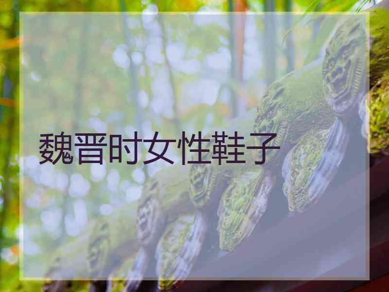 魏晋时女性鞋子