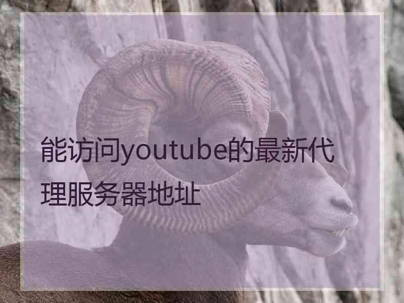 能访问youtube的最新代理服务器地址