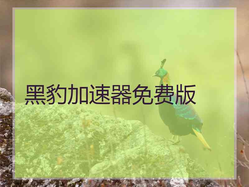 黑豹加速器免费版