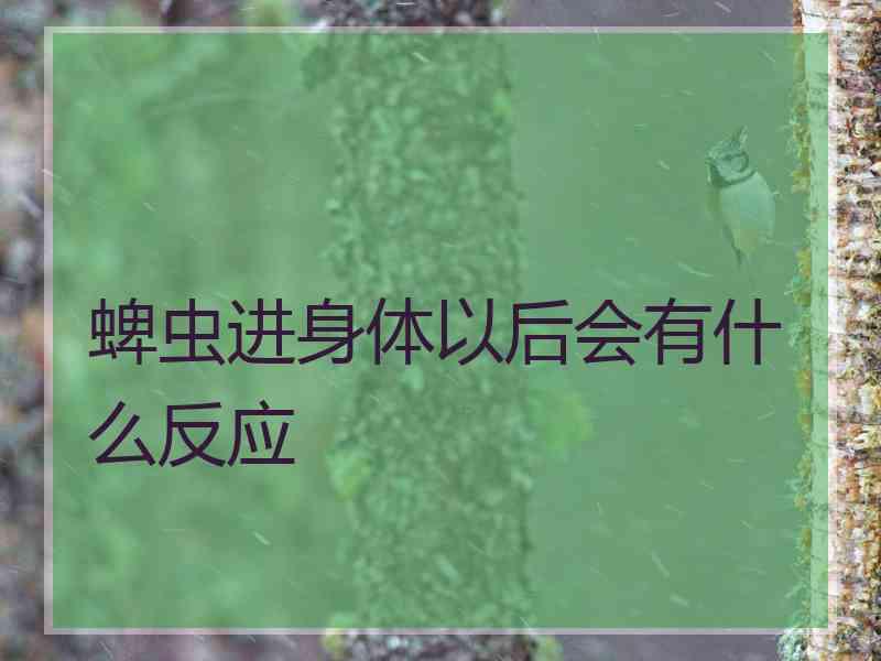 蜱虫进身体以后会有什么反应