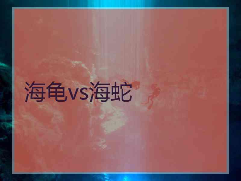 海龟vs海蛇