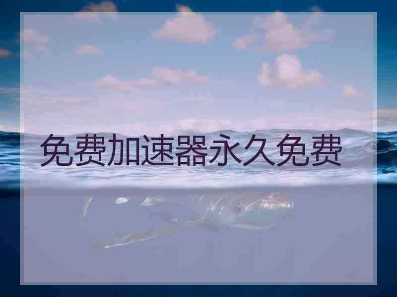 免费加速器永久免费