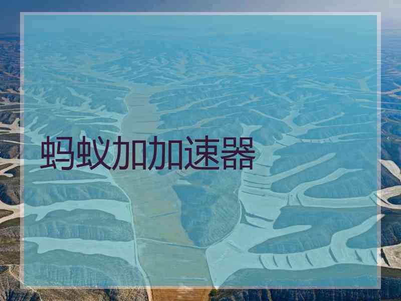 蚂蚁加加速器